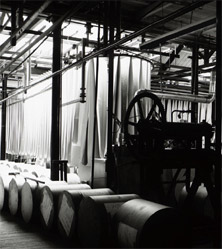 fábrica cole & son papeis de parede alta decoração