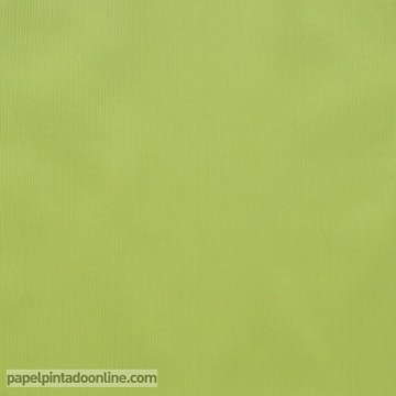 45676 papel de parede liso Pistache