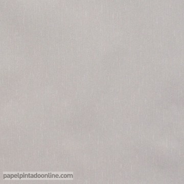 46674 papel de parede liso Cinza