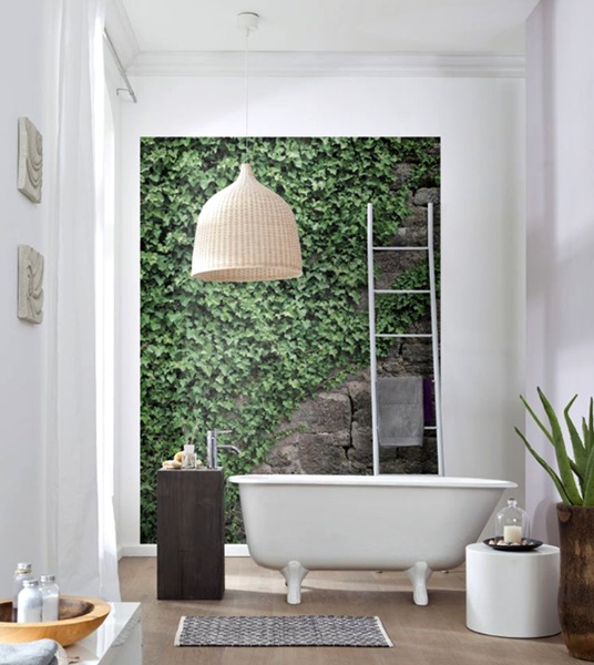 fotomural_trepadeira