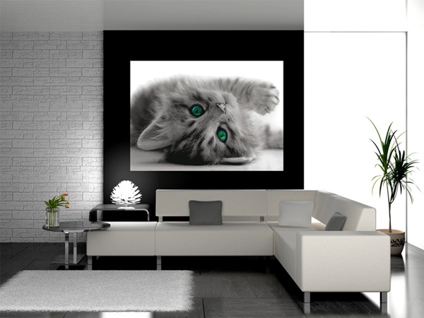 Mini Fotomural Pussy FTM0805