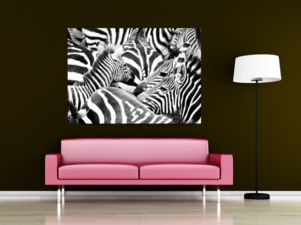 Mini Fotomural Zebra FTM0827