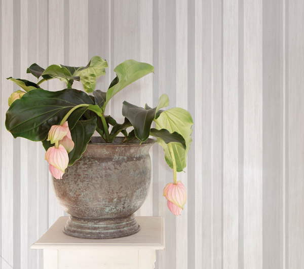 papel_pintado_cortina_1