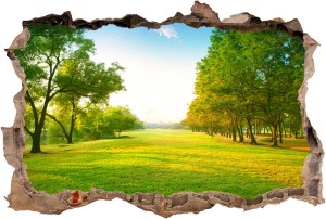 Vinil 3D Ref - V3DA004