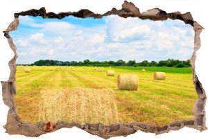 Vinil 3D Ref - V3DA007