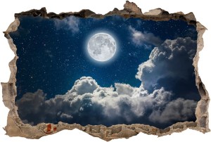 Vinil 3D Ref - V3DA014