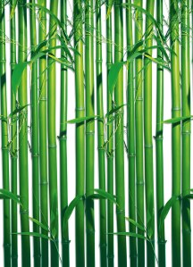 Mural Ref 00421 Bamboo