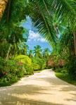 Mural Ref 00438 Tropical Pathway