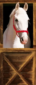 Mural de Porta Ref 00508