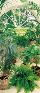 Mural de Porta Ref 00577