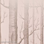 Papel de Parede Cole&Son Ref 103-5024