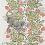 Papel de Parede Ardmore Ref 109-11051