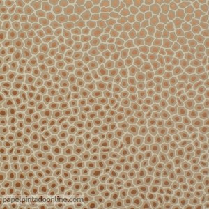 Papel de Parede Ardmore Ref 109-6029