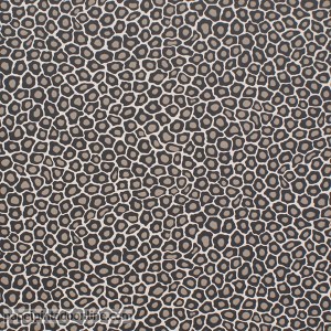 Papel de Parede Ardmore Ref 109-6031