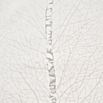 Papel de parede Ref 5137-2