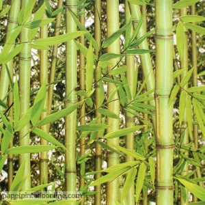 Papel de parede Replik Ref J780-04