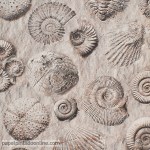 Papel de parede Replik Ref J862-09