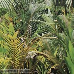 Papel de parede Replik Ref J944-04