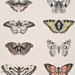 Papel de parede Ref 111077