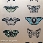 Papel de parede Ref 111078