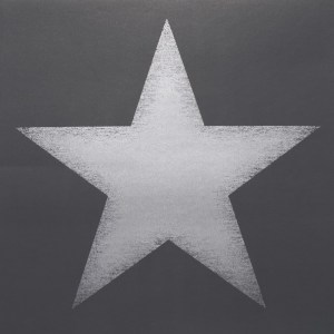 Papel de parede Estrelas Ref 4996-4