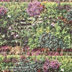 Papel de parede Ref MTE_6560_70_77