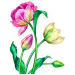 Vinís Florais Rev walls Ref 1000