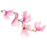 Vinís Florais Rev walls Ref 1004