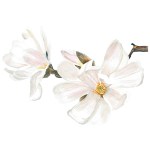 Vinís Florais Rev walls Ref 1005