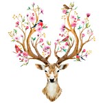 Vinís Florais Rev walls Ref 1011