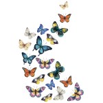 Vinís Florais Rev walls Ref 2013