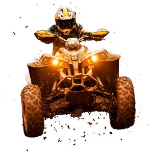 Vinís Florais Rev walls Ref 2014