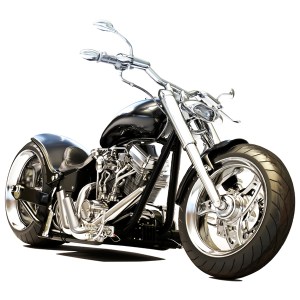 Vinís Florais Rev walls Ref 2015