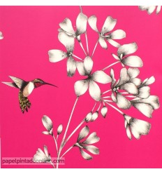 papel-de-parede-amazilia-harlequin-111058