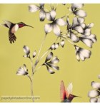 papel-de-parede-amazilia-harlequin-111061