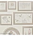 papel-de-parede-curiosity-cry-6542-10-10