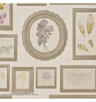 papel-de-parede-curiosity-cry-6542-20-22