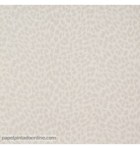 papel-de-parede-curiosity-cry-6543-00-00