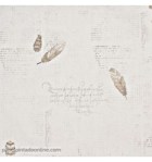 papel-de-parede-curiosity-cry-6546-20-38