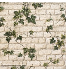 papel-de-parede-dekora-natur-6-9804-34