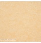 papel-de-parede-liso-com-textura-9725-23