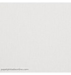 papel-de-parede-liso-textura-cinza-claro-4612-31