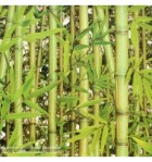 papel-de-parede-replik-j780-04