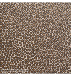 papel-de-parede-the-ardmore-senzo-spot-109-6027