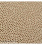 papel-de-parede-the-ardmore-senzo-spot-109-6029