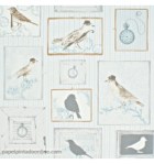 papel-de-parede-vintage-tempus-fi2502