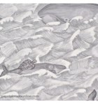 papel-de-parede-whimsical-103-1004