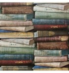 papel-de-parede-madeira-1046a