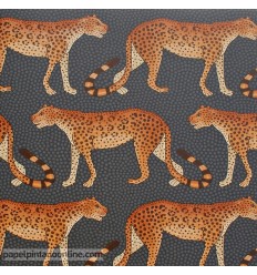 papel-de-parede-the-ardmore-leopard-walk-109-2008