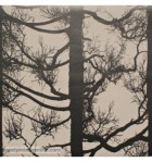 papel-de-parede-vallila-4985-4